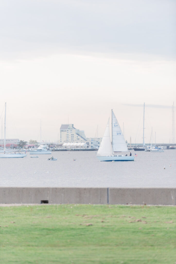 newport harbor proposal at king's park