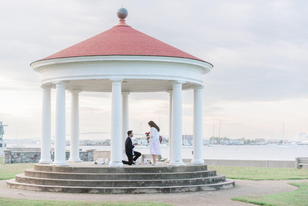 king's park gazebo proposal