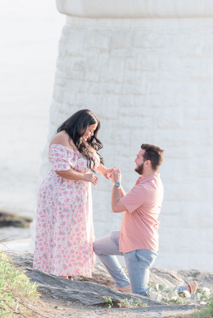 castle hill surprise engagement