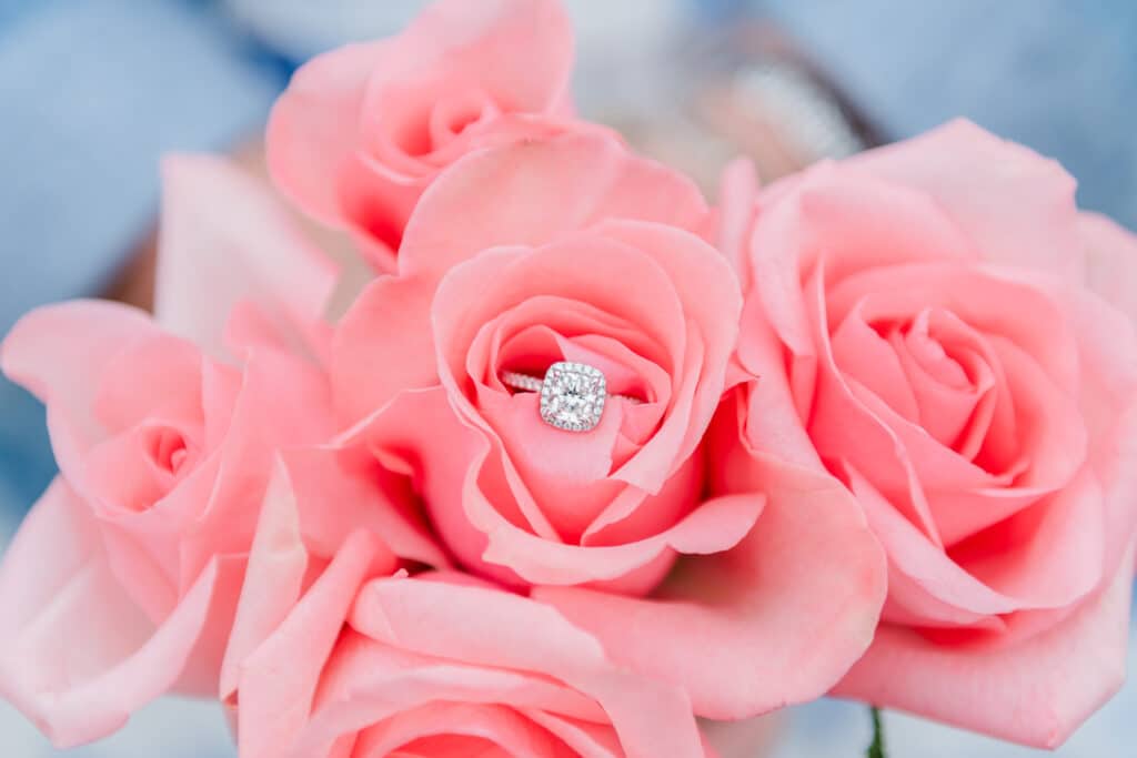 engagement ring in roses