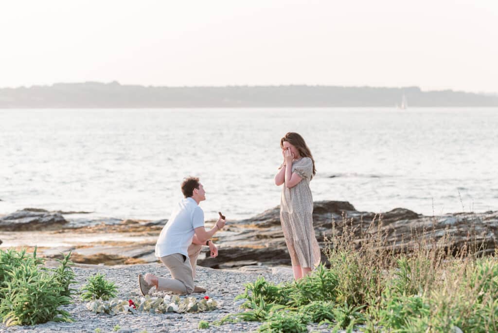 brenton state park proposal