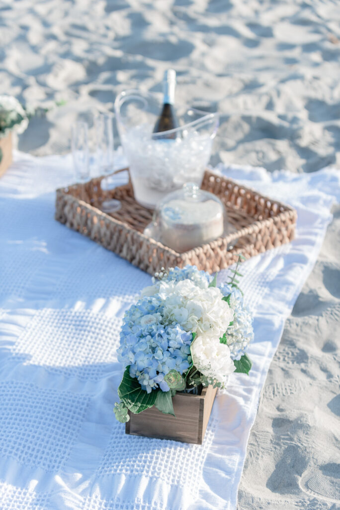 luxury beach picnic