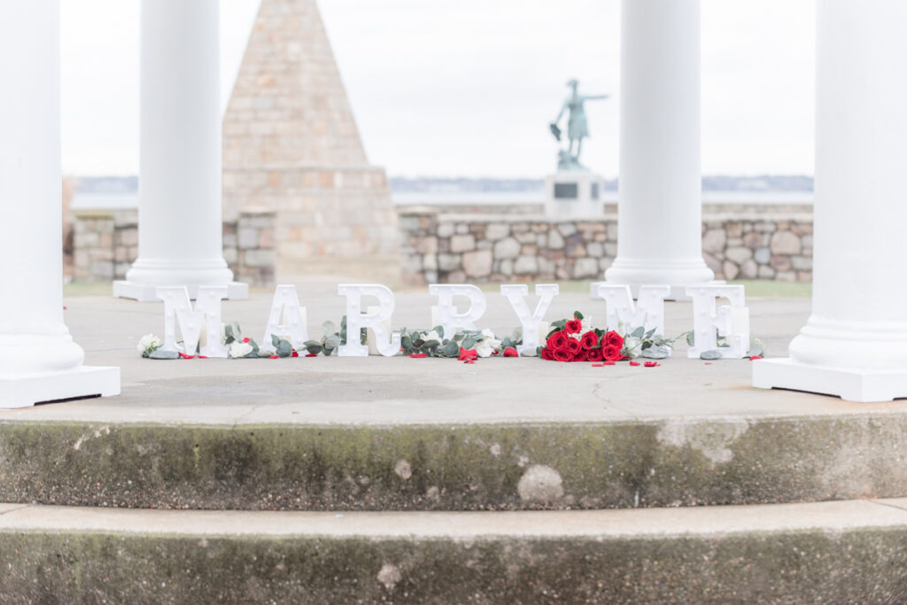 proposal at kings park in newport