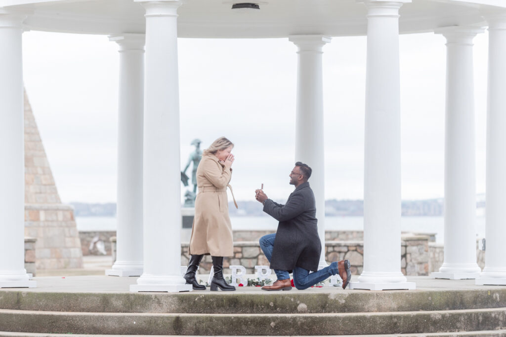 kings park proposal in newport