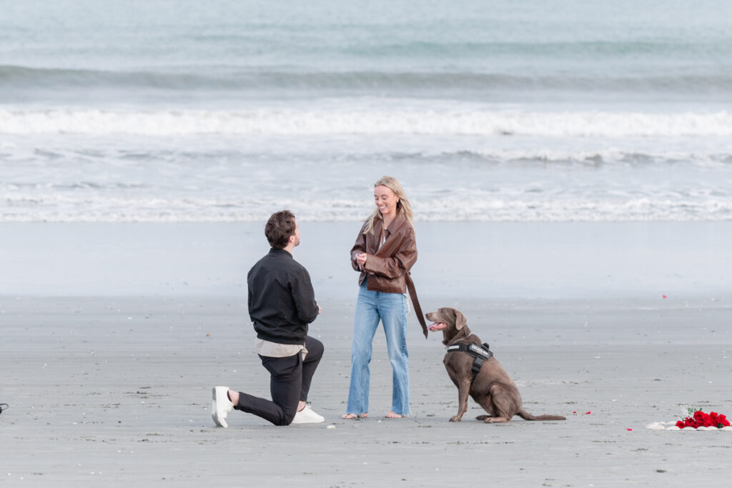 newport beach proposal